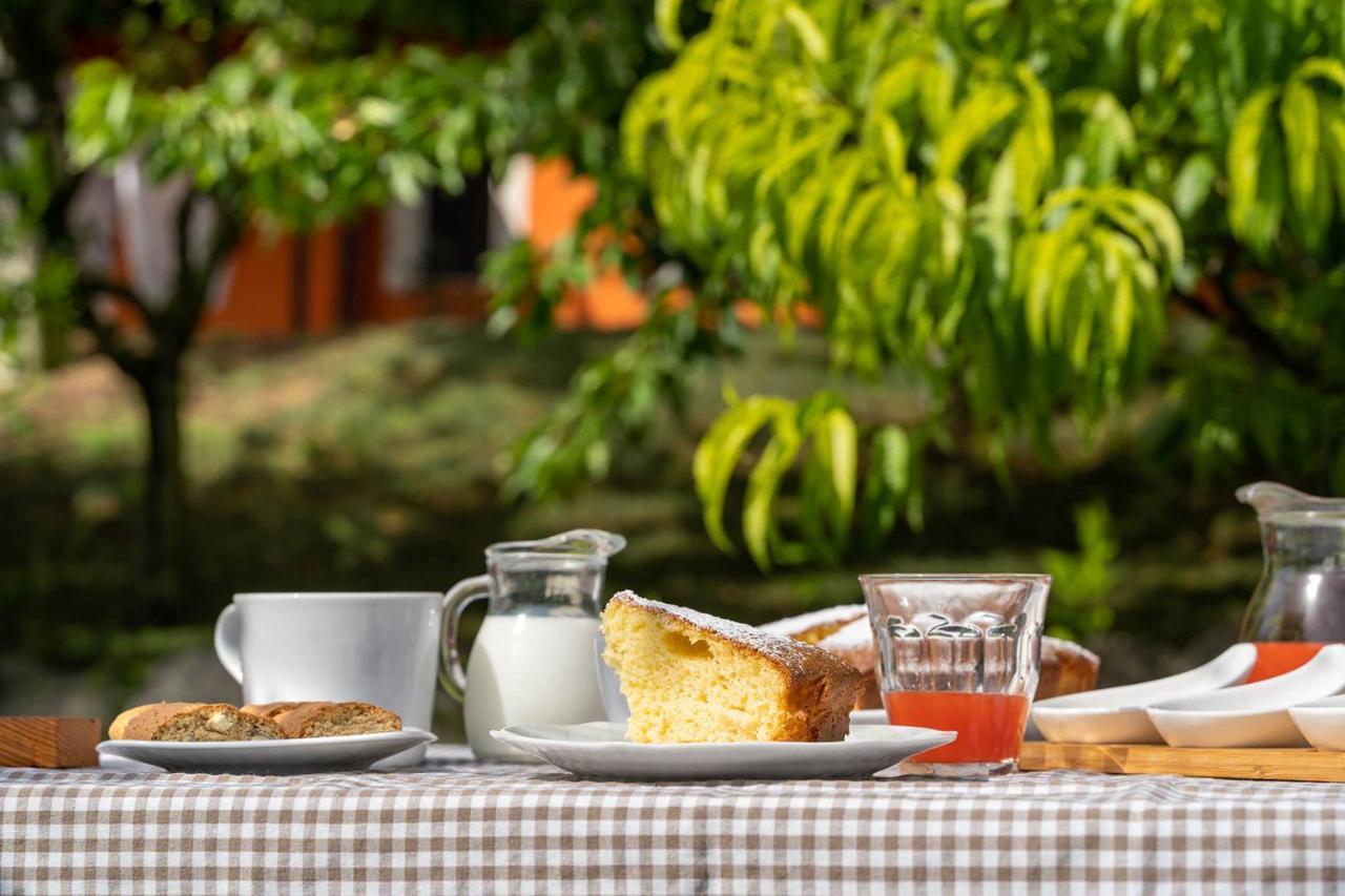 أوزيمو B&B La Gradina المظهر الخارجي الصورة